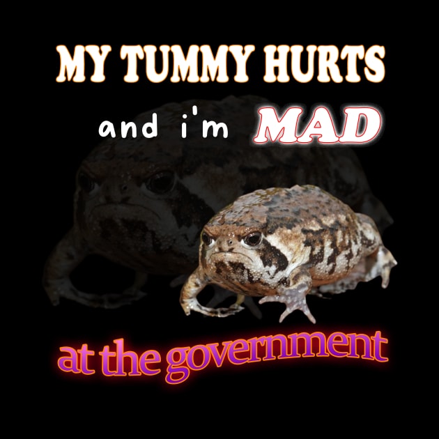 My Tummy Hurts And I'm MAD At The Government Meme by Hamza Froug