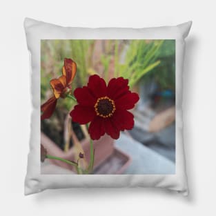 Red flower Pillow