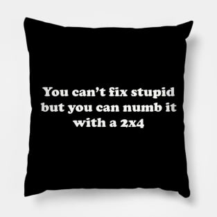 You can’t fix stupid but you can numb it with a 2x4 Pillow