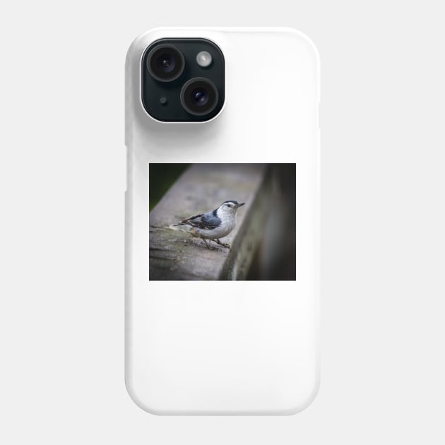 Nuthatch Close-up Phone Case by Robert Alsop