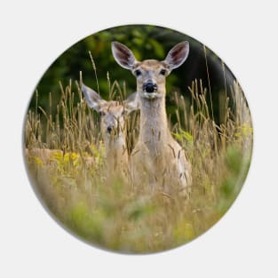 White-tailed Deer Pin