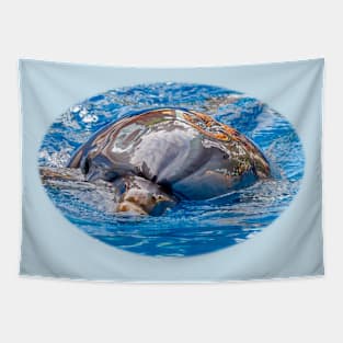 Dolphin Tapestry