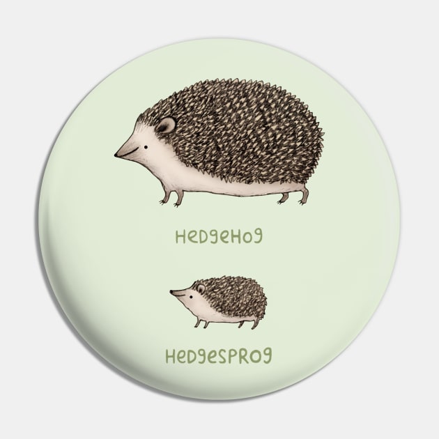 Hedgehog Hedgesprog Pin by Sophie Corrigan