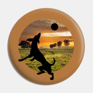 Dog at play Pin