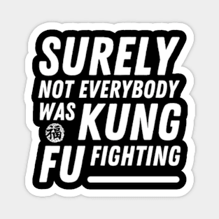 Surely Not Everybody Was Kung Fu Fighting Funny meme Magnet