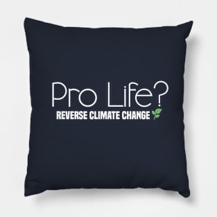 Pro Life?  Reverse Climate Change Pillow