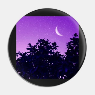 Crescent Moon, Evening Sky Pin
