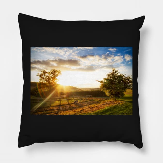 Italian Spinone in the Sunset Pillow by heidiannemorris