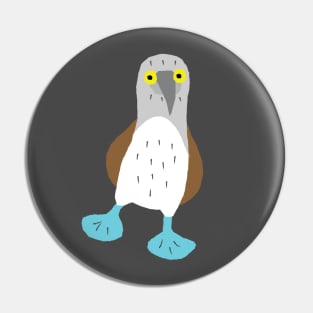 Adorable blue footed booby bird Pin