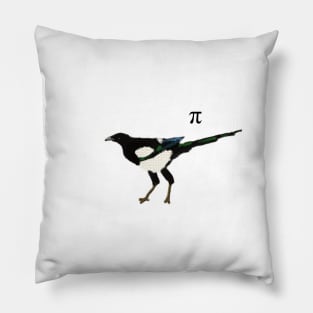 Mathematical Magpie with pi symbol Pillow