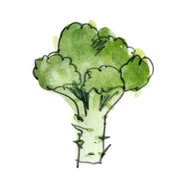 Broccoli solo #6 by crumpetsandcrabsticks