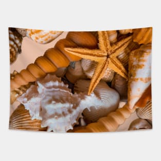 Summer Beach Seashells Travel Tapestry