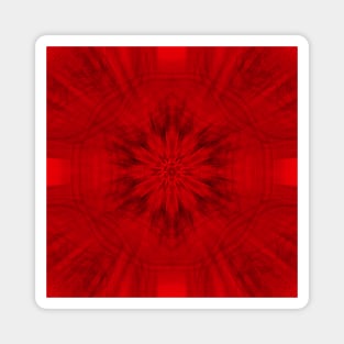 Motion through the red kaleidoscopes Magnet