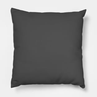 The plain grey Pillow