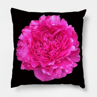 Bright Pink Peony in Full Bloom Pillow