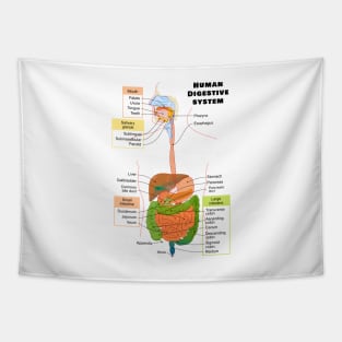 Diagram of the Human Digestive System Tapestry