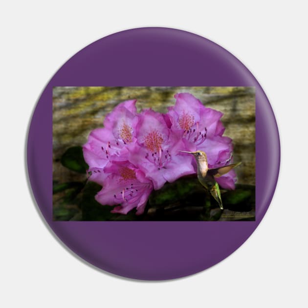 Hummingbird With Purple Flowers Pin by michaelasamples