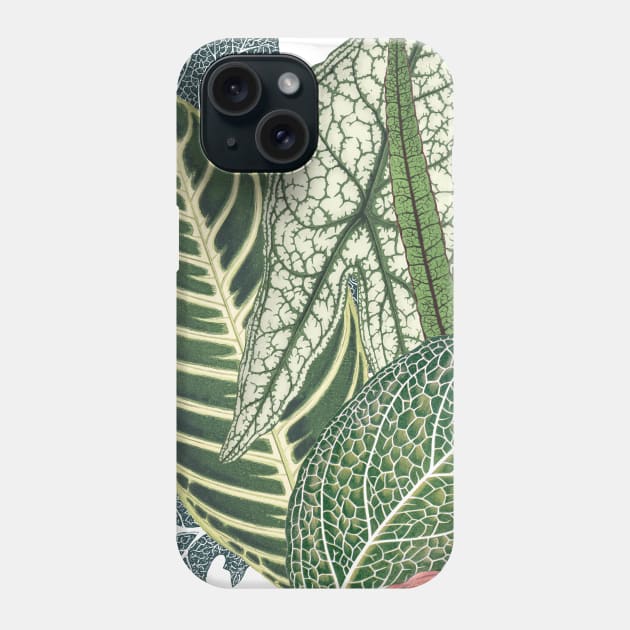 Green tropical leaves Phone Case by CatyArte