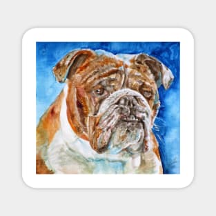 BULLDOG - watercolor portrait .7 Magnet