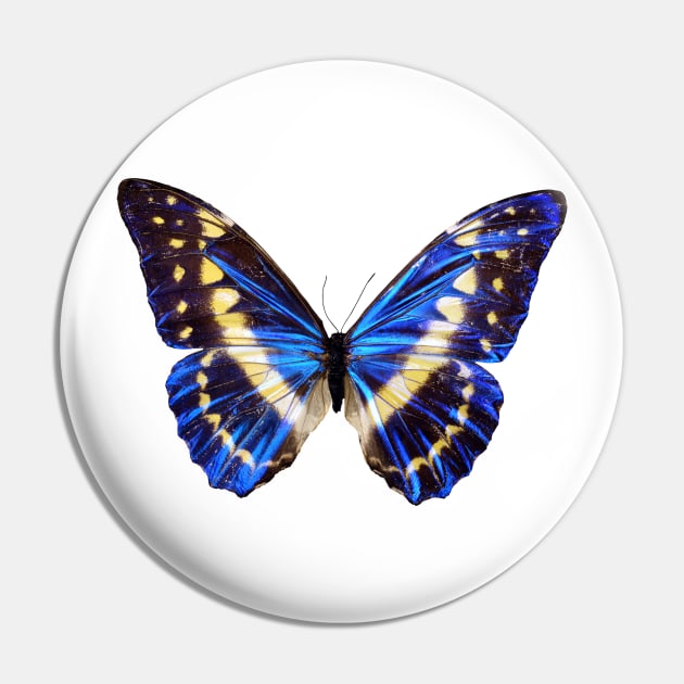 Blue butterfly Pin by Artbychb