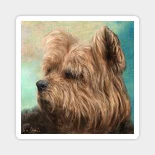 Painting of a Cute and Hairy Yorkshire Terrier Magnet