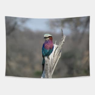 My African Safari - Blue-bellied roller Tapestry