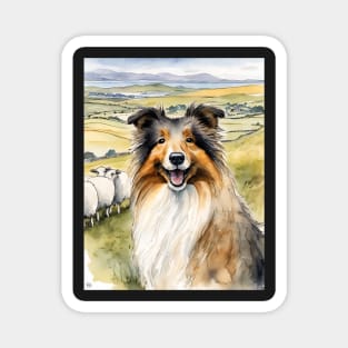 Shetland Sheep Dog Magnet