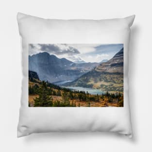 850_6462 Pillow