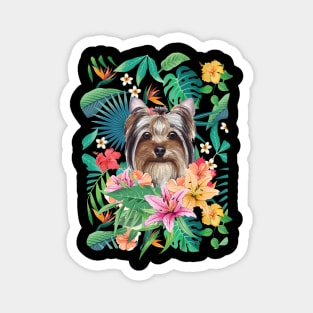 Yorkie Yorkshire Terrier 3 Magnet