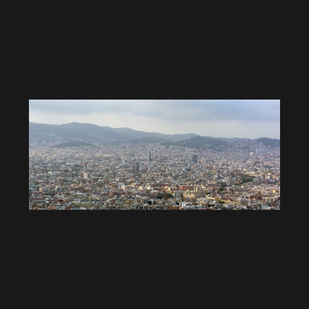 View to Barcelona city from the Montjuic hill by lena-maximova