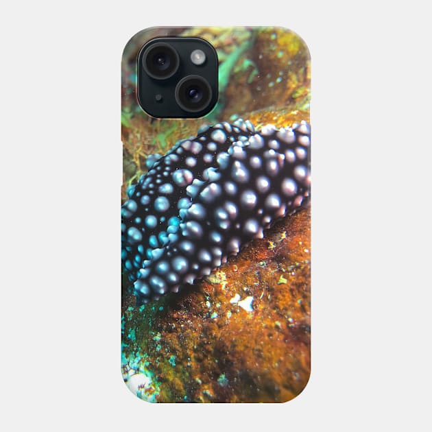 Nudibranch Phone Case by likbatonboot