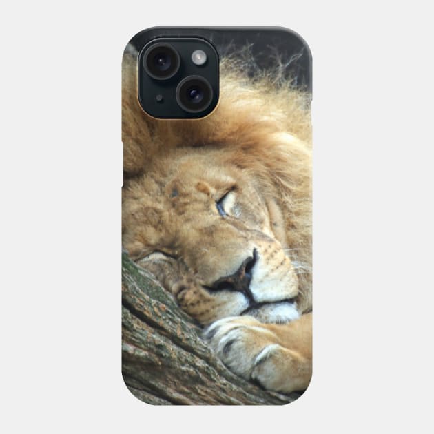 Lion 036 Phone Case by JAMFoto