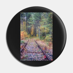 Track Trough Autumn Pin