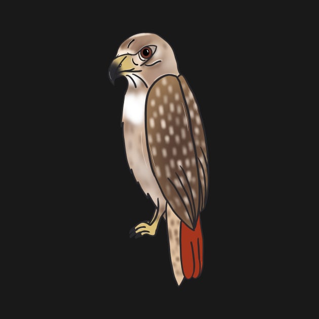 Red Tailed Hawk - Cartoon by eeliseart