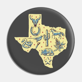 Texas Icon Pin