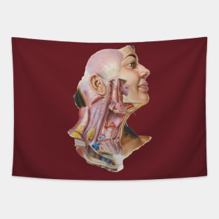 Frank Netter Atlas of Human Anatomy Cervical Fascia Tapestry