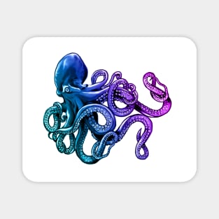 Octopi Magnet