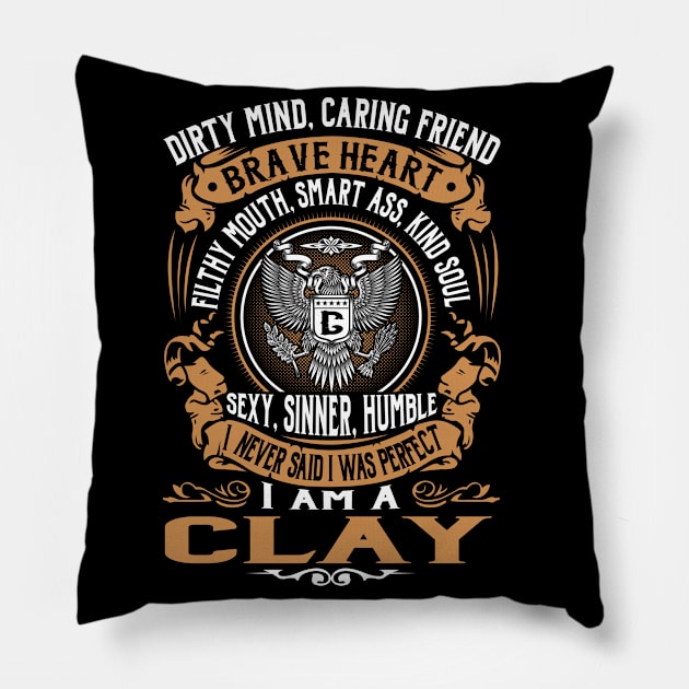 CLAY Pillow by Mirod551