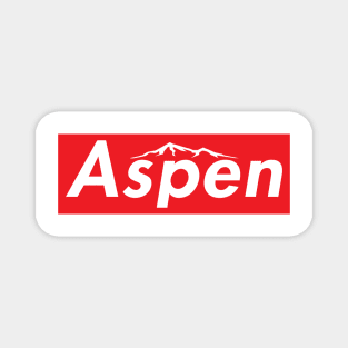 Aspen Colorado Skiing Ski Magnet