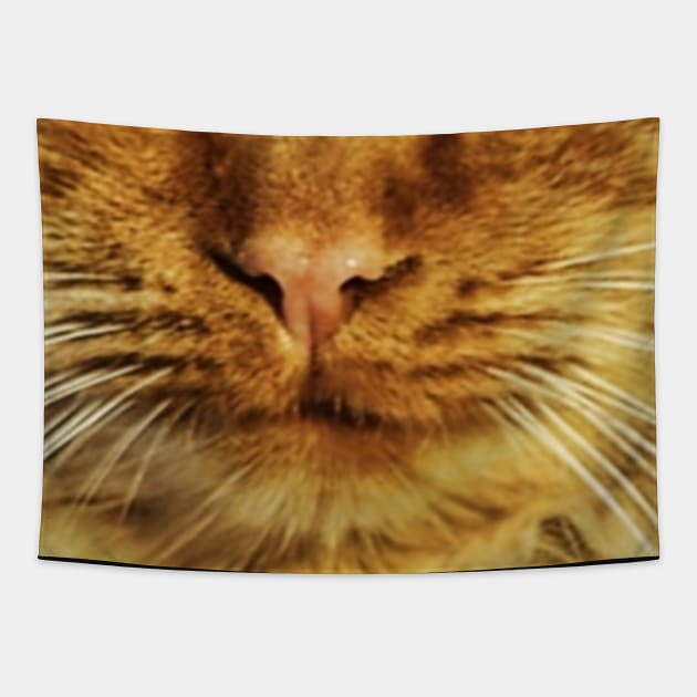 Cat face mask funny design - cat mouth face mask - animal mouth funny face mask Tapestry by jack22