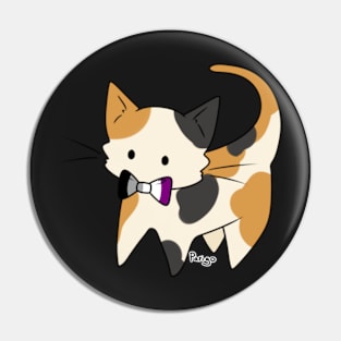 Ace Pride Calico Kitty Pin