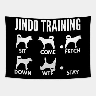 Jindo Training Korean Jindo Dog Tricks Tapestry