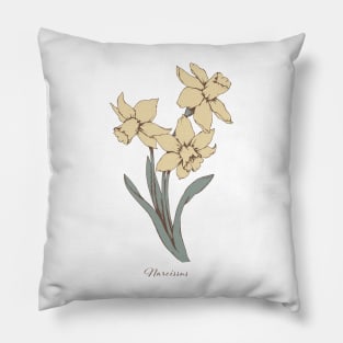 Narcissus Pillow