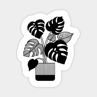 Monstera plant Magnet