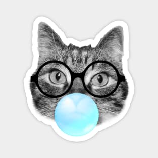 Cute fluffy cat blowing a blue bubble gum Magnet