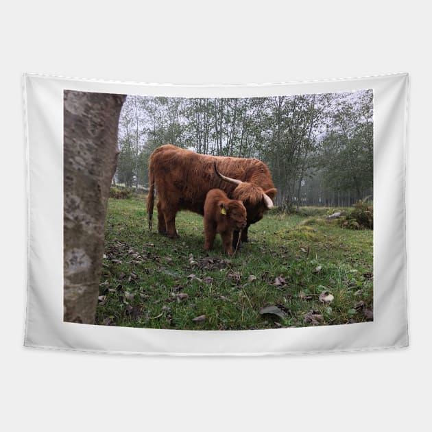 Scottish Highland Cattle Cow and Calf 1555 Tapestry by SaarelaHighland