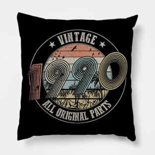 Vintage 1990 Design 30 Years Old 30th birthday Pillow