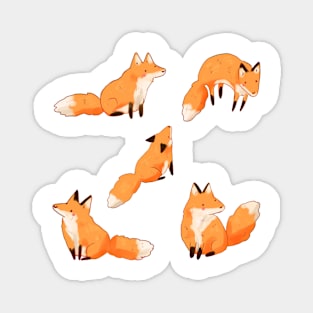 Cute foxes pattern Magnet