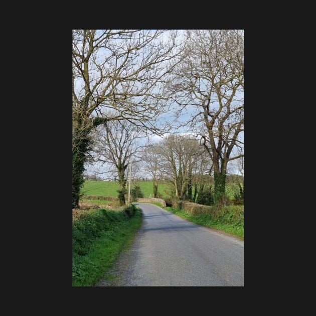 Irish country road 2 by honeythief