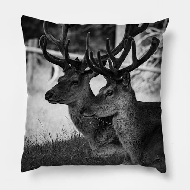 deer 6 Pillow by outlawalien